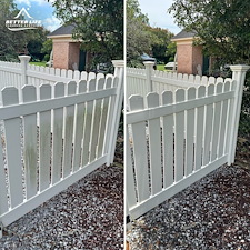 Before-and-After 25