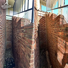Before-and-After 41